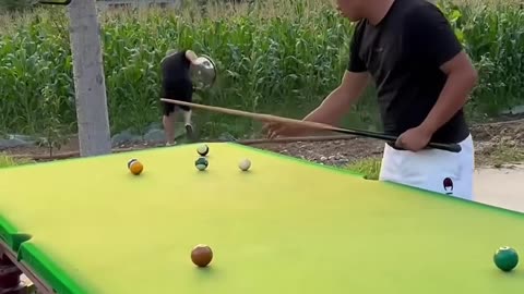 Funny Video Billiards