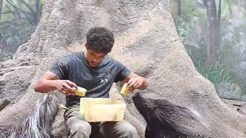 Feeding Some Very Large Porcupines