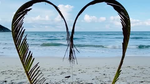 A Heart Shaped Made From Palm Leaves For Photo Shots Background