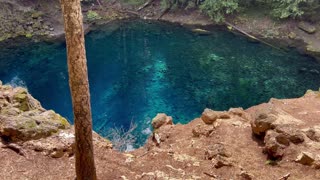 World Famous Tamolitch Blue Pool – Willamette National Forest – Central Oregon – 4K