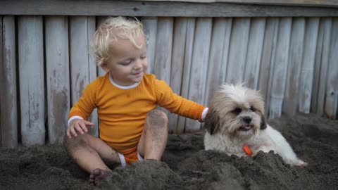 Cute blond toddler kid smiling and playing with messy white puppy sitting on the sand