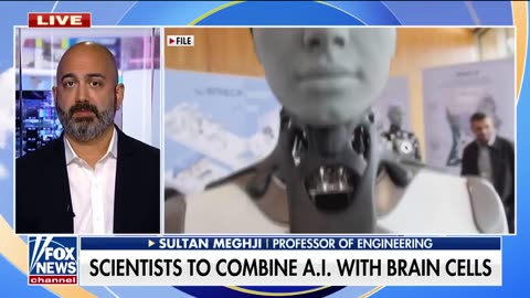 GAME CHANGER: Scientists to combine AI with Human brain cells