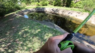 RECORD Day of POND Fishing! (TROPHY Bass Caught)