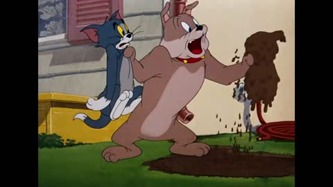 Tom & Jerry _ Who is the Cutest_Classic Cartoon Compilation