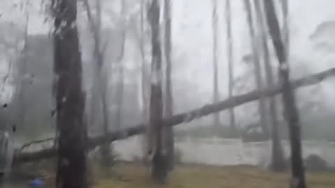 Tree falls on Perry, Florida home during Hurricane Idalia; minor roof damage, family safe.