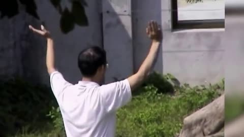 Crazy Man Entered The Lions Cage in Taipei Zoo Horrible News Video of man vs Lion