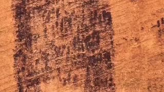 Utah Rock Art