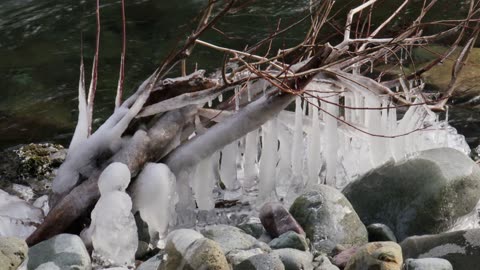 Gordon River Icicles