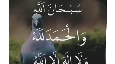 Subhanallah | Walhamdulillah | Wala ilaha illallah | Wallahu Akbar |