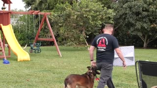 Have Variations With Your Dog’s Routines