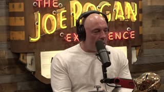 Joe Rogan: & Kirk Metzger Dinosaurs Had Feathers?! Or Scales!