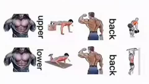 Complete Body Workout