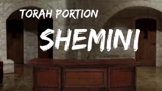 Torah Portion: Shemini