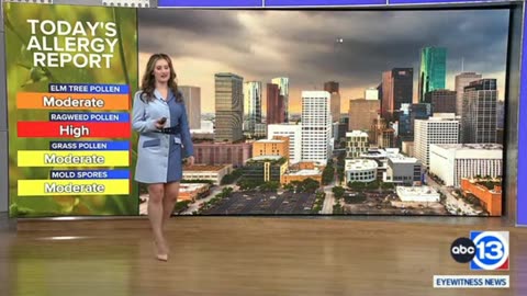 ABC13 Houston's Super Hot Elyse Smith On 092323