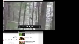 Bigfoot Caught on Camera Breakdown