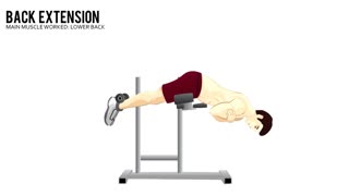 Back Extension