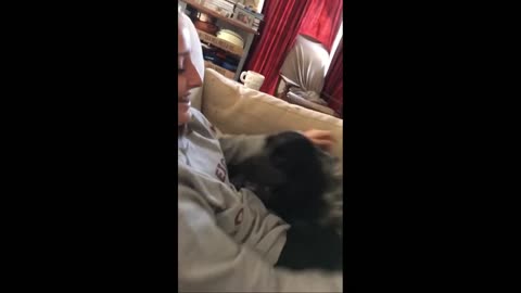 Clingy Dog Refuses to Stop Cuddling Caretaker (1)