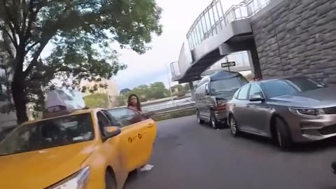 Biker Spots Dog Stuck On NYC Highway And Saves His Life | The Dodo