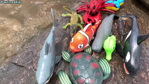 Sea Animal Toys This Summer at the Shore Megan's World