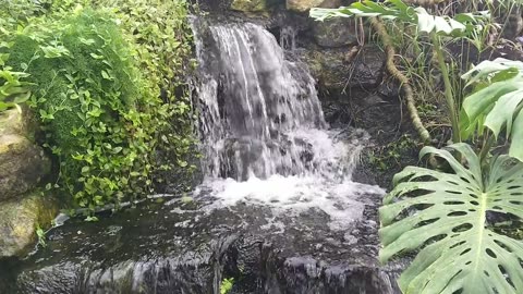 cascade