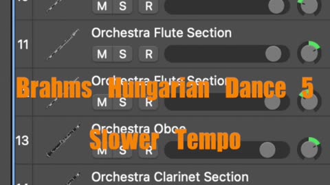 iPad is my orchestra - Brahms Hungarian Dance 5
