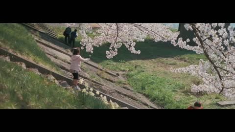 Japan Cherry Blossom Cinematic Travel Film - Fujifilm XH1 Review