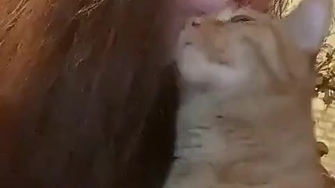 Let me teach you about cat kisses