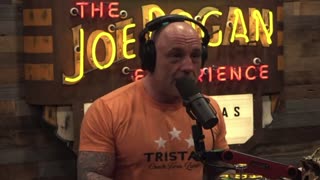 Joe Rogan Rips the Media a New One for Their Blatant Lies About Ivermectin