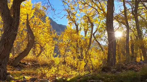 It doesn't get much better than this, sunny & 65 degrees with goldeni views-along the creek