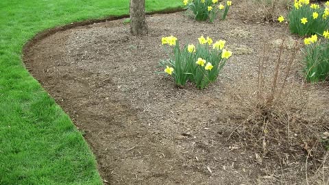 Bed Edging Clear Spring Maryland Landscape