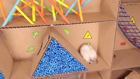 Hamster pets but with Traps in maze. Pt 1