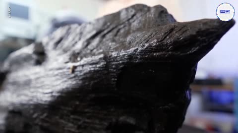 Ancient oak wood carving is 6,000 years old, experts say