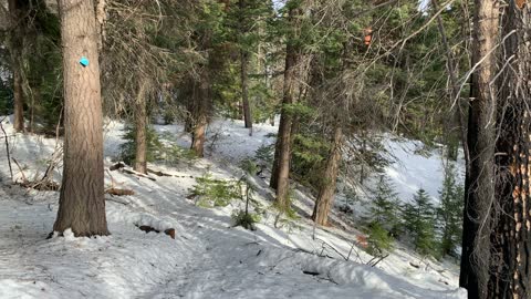 Descending Ochoco Pass – Bandit Springs Sno-Park – Central Oregon – 4K