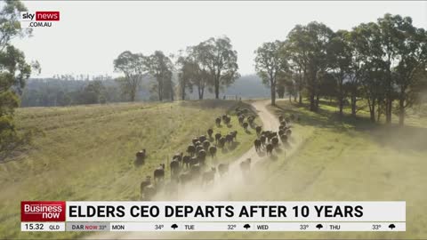 Elders CEO departs after 10 years