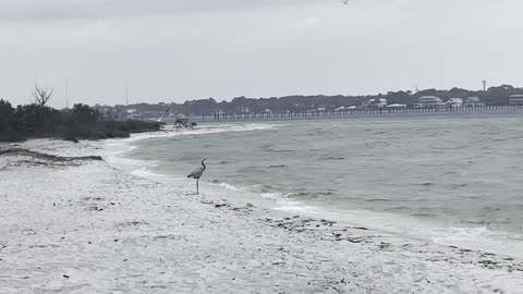 Destin ,Florida on a ☔️day