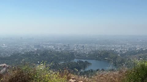 FREEDOM HIKERS - WISDOM TREE & HOLLYWOOD SIGN 4.30.24