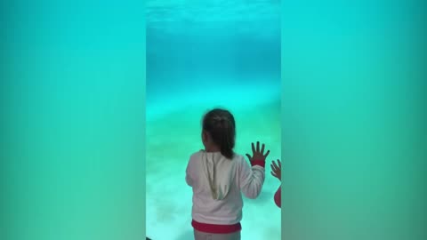 Funny Kids at the Aquarium