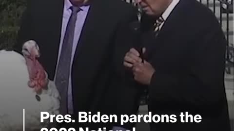 Pres. Biden pardons the 2022 National Thanksgiving turkeys Chocolate and Chip