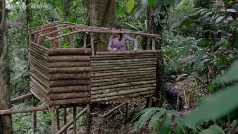 Build cabin for shelter in the jungle - Solo survival camping, bushcraft and wild foods