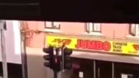 Rat runs into Irish Chinese restaurant