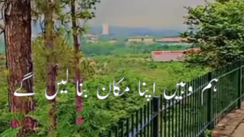 View of Islamabad Pakistan green tress