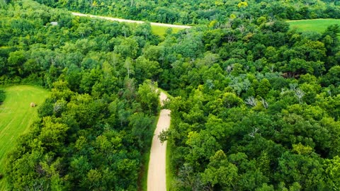 How beautiful nature A Road Built Through Plantation And Forest