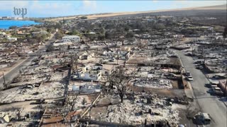 Maui Fire Drone Footage Afermath Even More