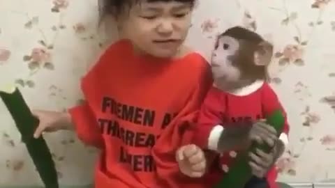 Monkey in red