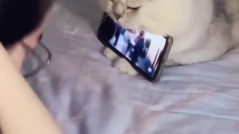 Forced to become a cellphone holder