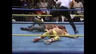 JAKE ROBERTS VS DUSTIN RHODES