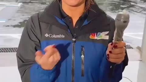 NBC Weather Reporter Protecting Her Microphone From Hurricane Ian with a Special Tool