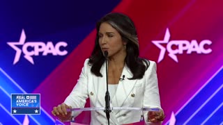 Tulsi Gabbard: Democratic Party's Hatred Of 2A Is A Threat To Freedom