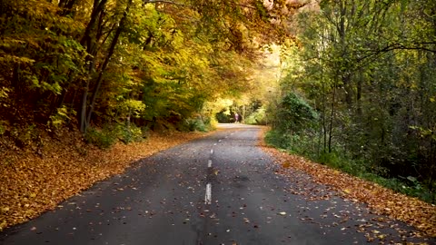 Autumn's Superb View❤️