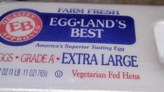 Eating Egg-Land's Best Eggs, Dbn, MI, 11/2/23